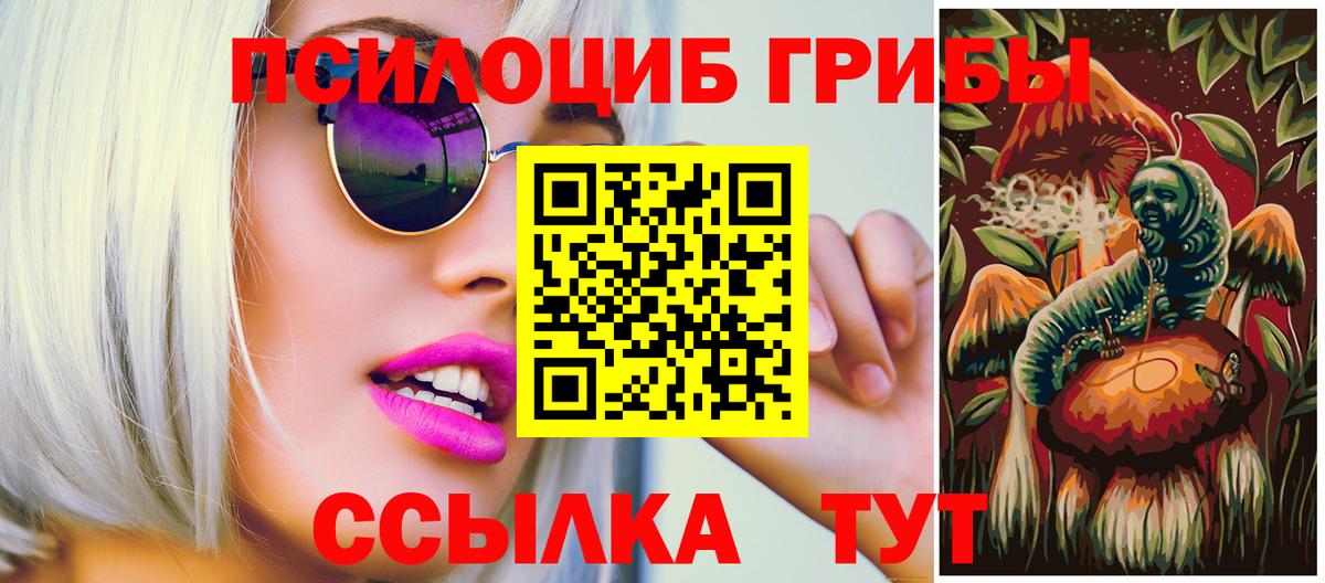 Галлюциногенные грибы ЛСД  Вход с VPN  Заводоуковск 